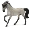 Andalusian Stallion Grey