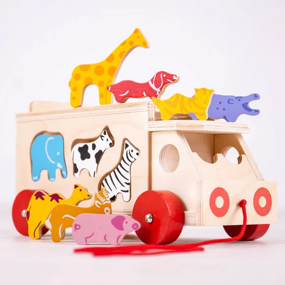 Animal Shape Lorry