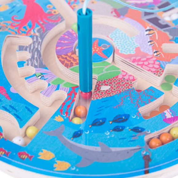 Aquatic Maze Puzzle