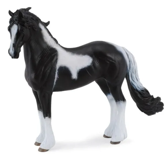 Barock Pinto Stallion