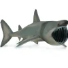 Basking Shark