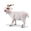 Billy Goat