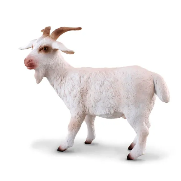 Billy Goat
