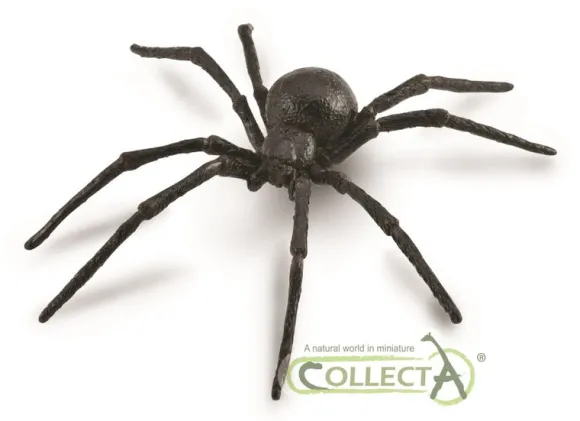 Black Widow Spider