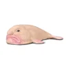 Blobfish
