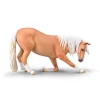 Bowing Lusitano mare Palomino