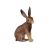 Brown Hare