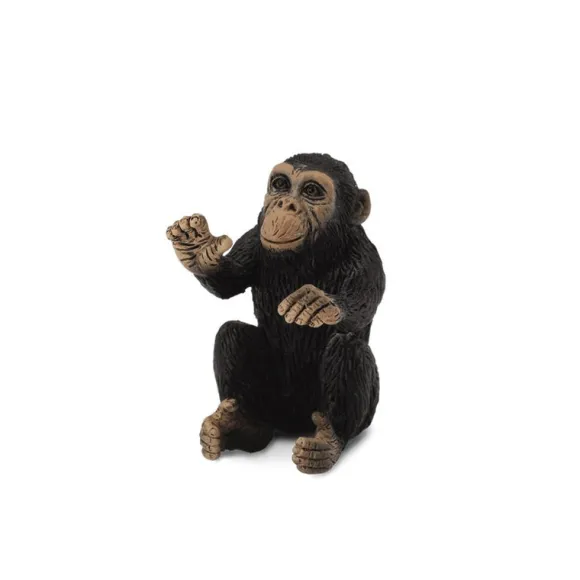Chimpanzee Cub Hugging