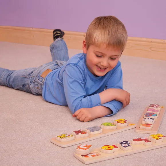 Chunky Lift and Match Toys Puzzle