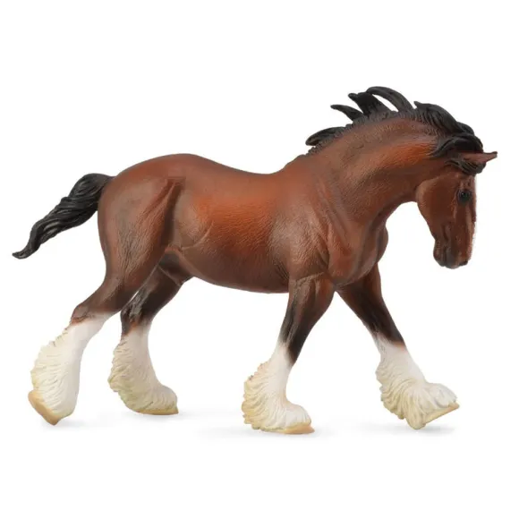 Clydesdale Stallion Bay