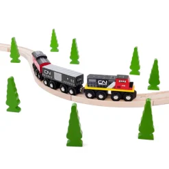 CN Train