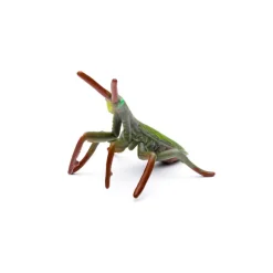 CollectA Box of Mini Insect & Spider