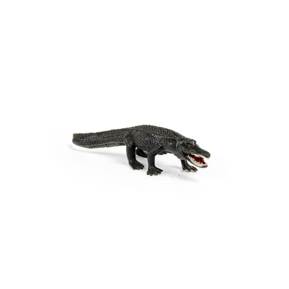 CollectA Box of Mini Reptiles & Amphibians
