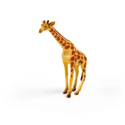 CollectA Box of Mini Wild Animals