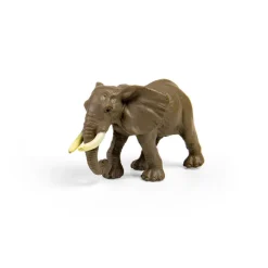 CollectA Box of Mini Wild Animals