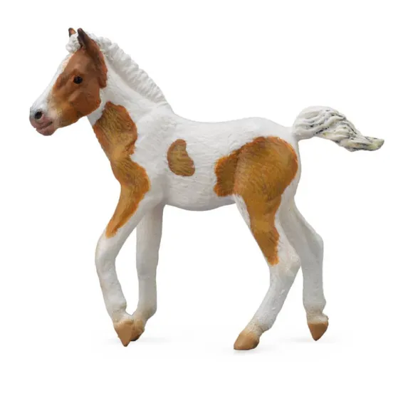 Dartmoor Hill Foal Skewbald