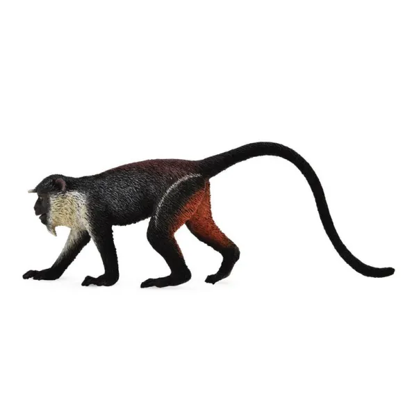 Diana Monkey