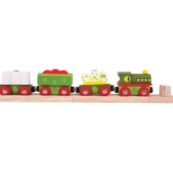 Dinosaur Railway Engine and Carriages