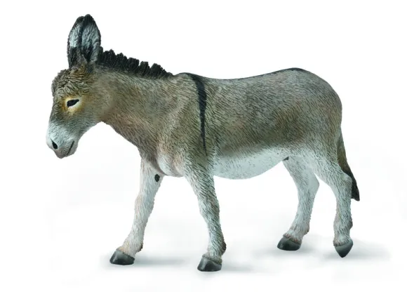 Donkey