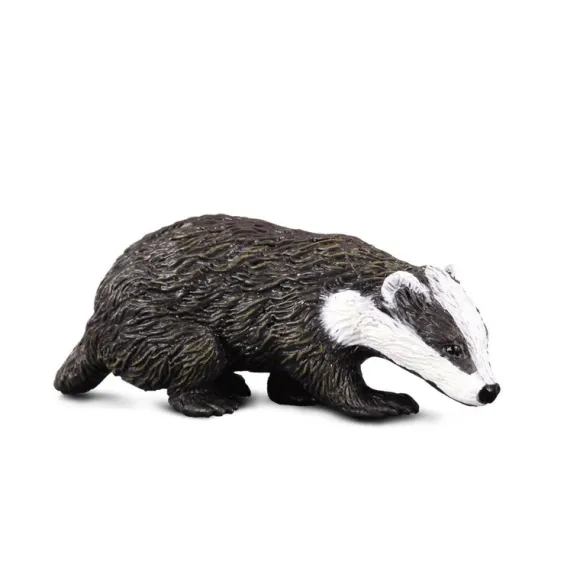 Eurasian Badger