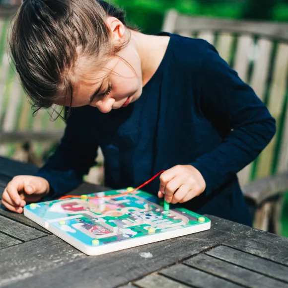 Farmyard Maze Puzzle