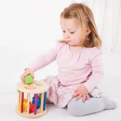First Rolling Shape Sorter