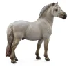 Fjord Stallion Grey