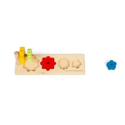 Flower Sorter