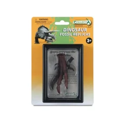 Foot Replica Of T-Rex In Display Case