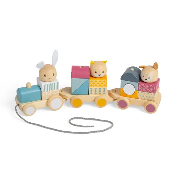 FSC® Certified Activity Pull Along Train