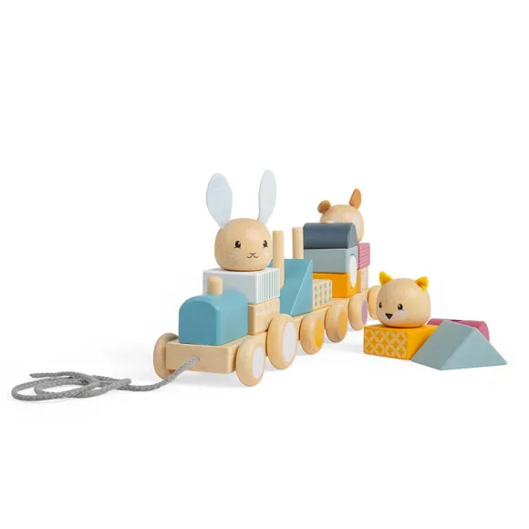FSC® Certified Activity Pull Along Train