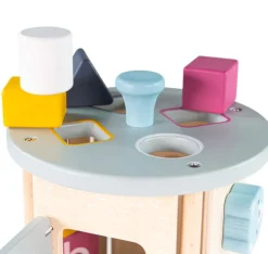 FSC® Certified Rolling Activity Sorter
