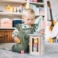FSC® Certified Rolling Activity Sorter