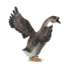 Gander