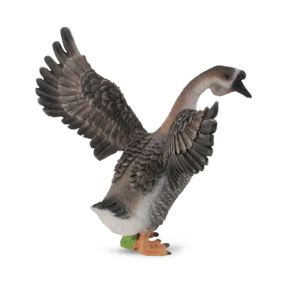 Gander