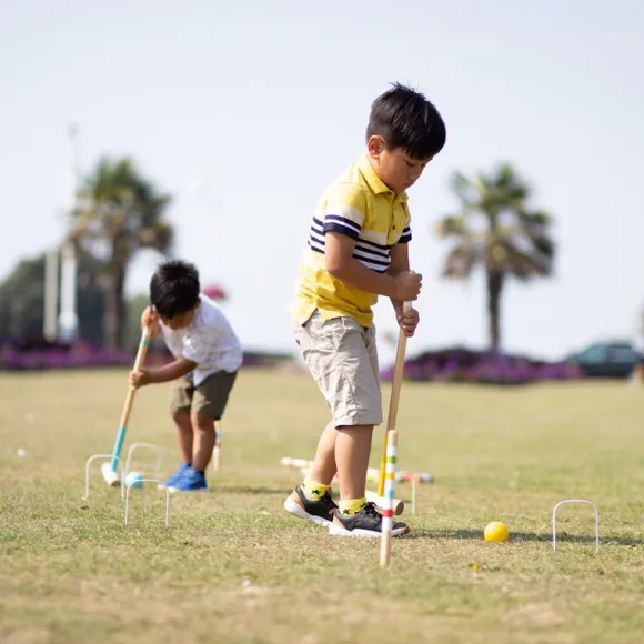 Garden Croquet