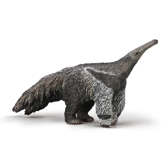 Giant Anteater