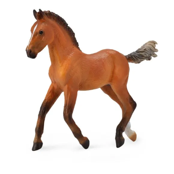 Hanoverian Foal Bay
