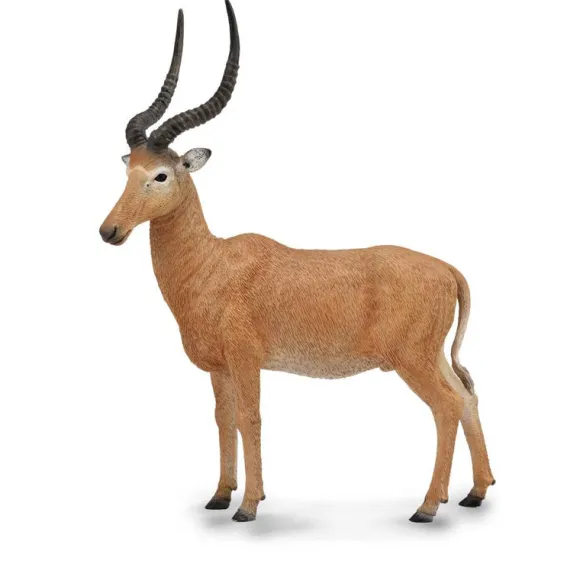 Hirola