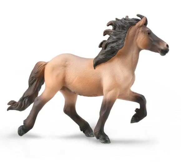 icelandic Stallion - Bay Dun