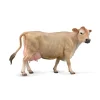 Jersey Cow