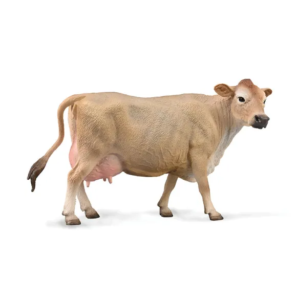 Jersey Cow