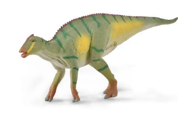Kamuysaurus