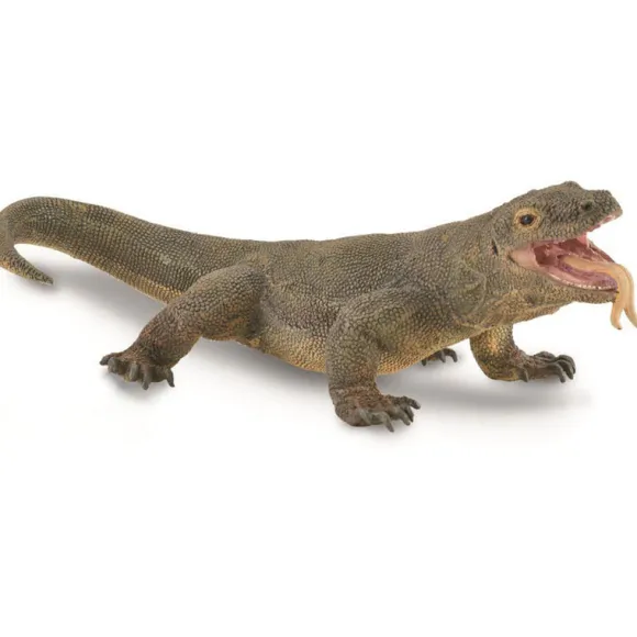 Komodo Dragon