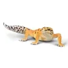 Leopard Gecko