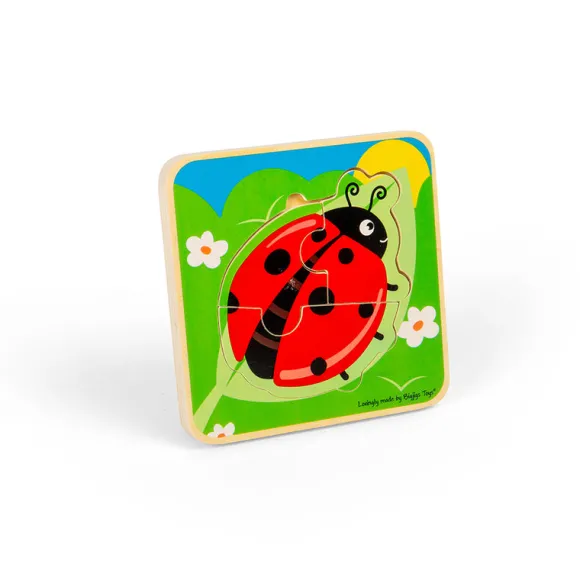 Lifecycle Layer Puzzle - Ladybug