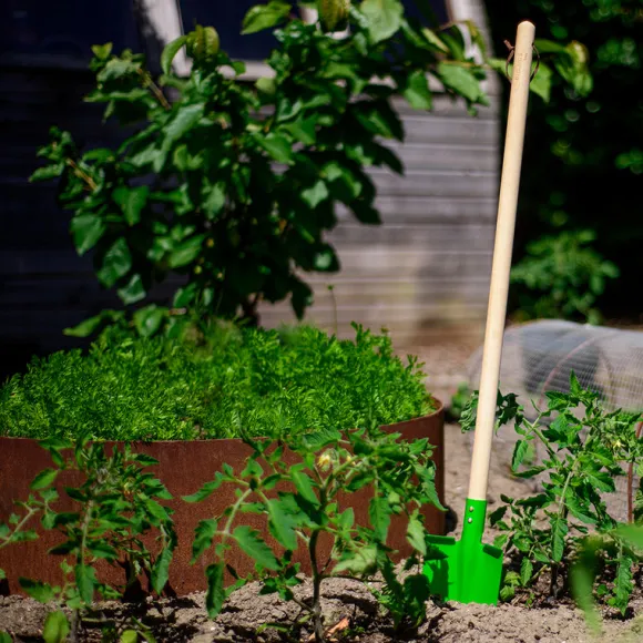 Long Handled Shovel