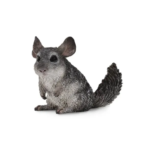 Long Tailed Chinchilla