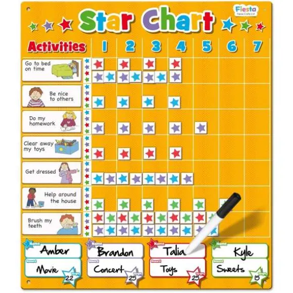 Magnetic Large Star Chart