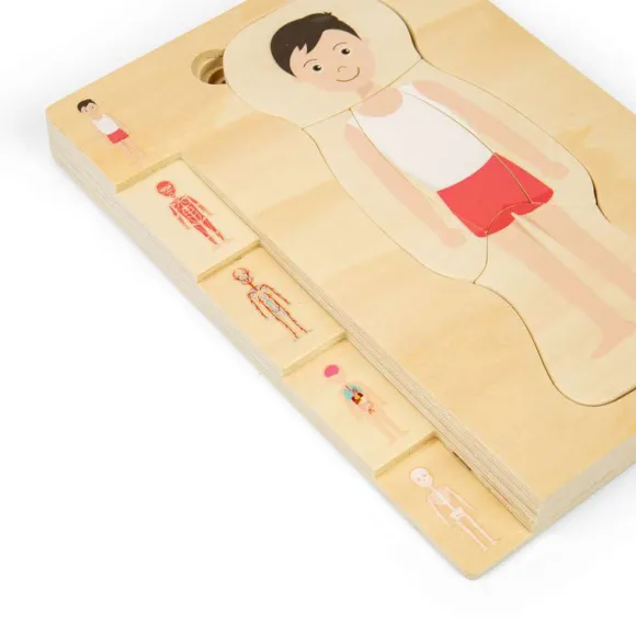 Male Human Anatomy Puzzle
